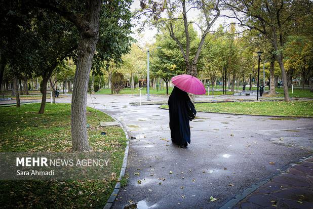 بارش باران در مشهد آغاز شد