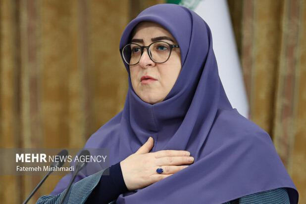 واکنش سخنگوی دولت به گرما؛ ترک محل سخنرانی