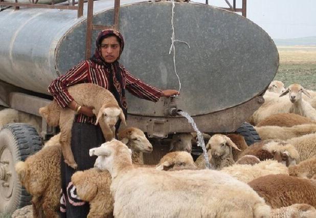 تامین آب و نهاده دامی از اولویت‌های سازمان عشایری