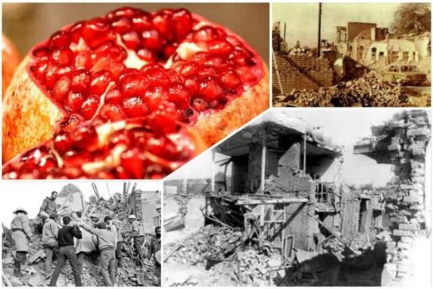 روایت حماسه و دفاع در کرمانشاه ؛ شبی که انارها با اشکِ خون دانه شدند