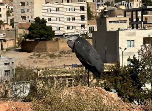 یوسف‌پور:حواصیل خاکستری در مهدیشهر مشاهده شد؛ ضرورت توجه به غنای زیستی