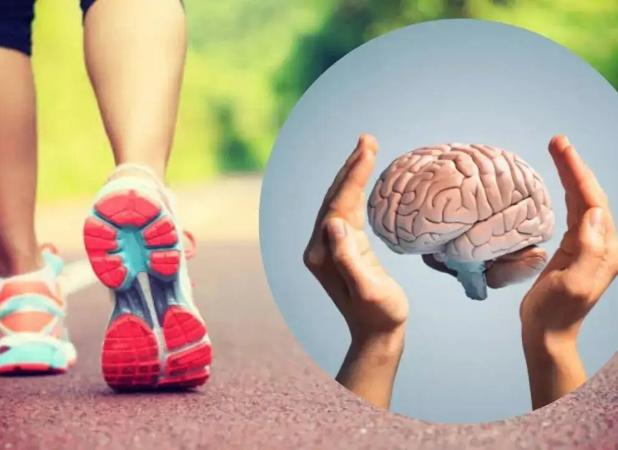 پادزهری طبیعی برای پیشگیری از پیری و آلزایمر