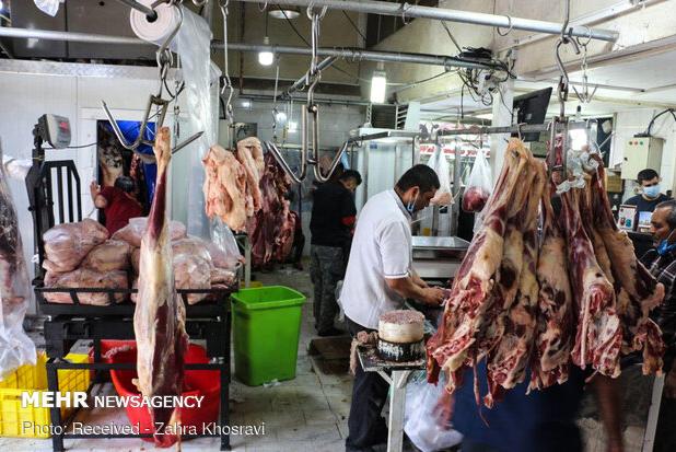 تابستان بازار گوشت، چشم انتظار تصمیم منطقی مسئولان