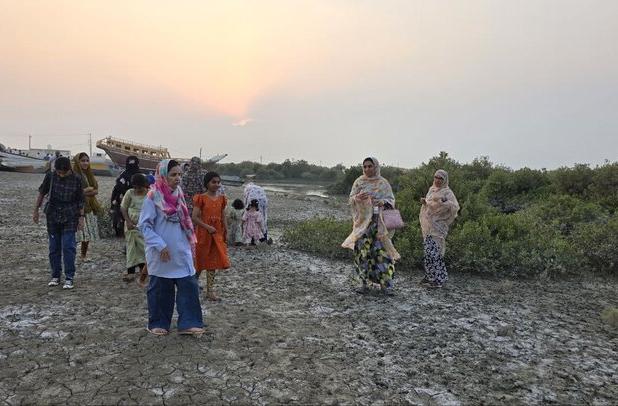 توسعه جنگل حرا در روستای گردشگری سهیلی   جزیره قشم