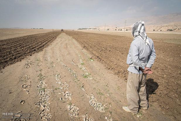 آب به کشاورزان رفیع رسید