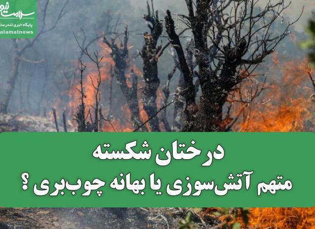 درختان شکسته؛ متهم آتش‌سوزی یا بهانه چوب‌بری ؟