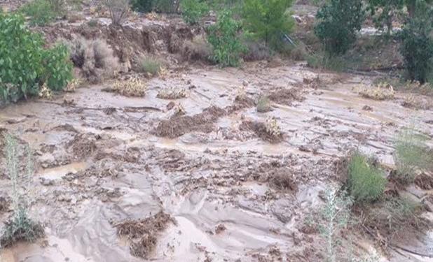 آخرین خبرها از سیل کوهبنان، خسارت جانی نداشته‌ایم