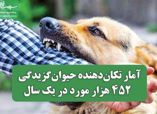 آمار تکان‌دهنده حیوان‌گزیدگی / ۴۵۲ هزار مورد در یک سال