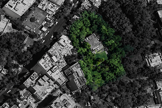 باغ ۳ هزارمتری زعفرانیه چگونه در یک جلسه مشکوک غیرباغ شد؟!