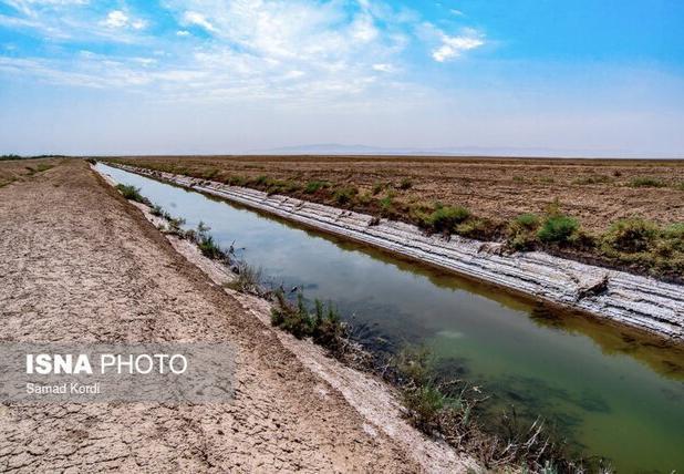 تالاب صالحیه اولویت اول زیست‌محیطی البرز/ حذف زهکش، شرط اصلی احیای تالاب