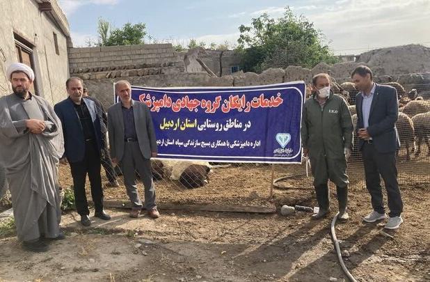 واکسیناسیون هزار راس دام علیه تب برفکی در اردبیل