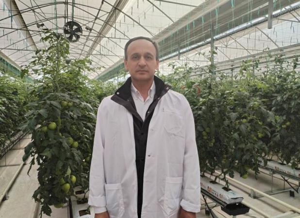 گلخانه‌های مدرن ایران الگویی برای کشاورزی جهان