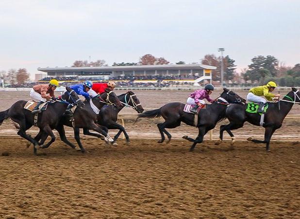 رقابت ۷۰ اسب در روز دوم هفته ششم کورس‌های پاییزی گنبدکاووس