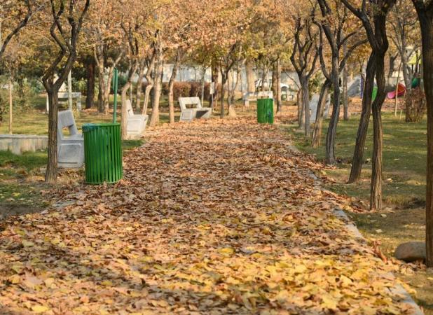 ثبت خاطرات پاییزی در گذر ازگل