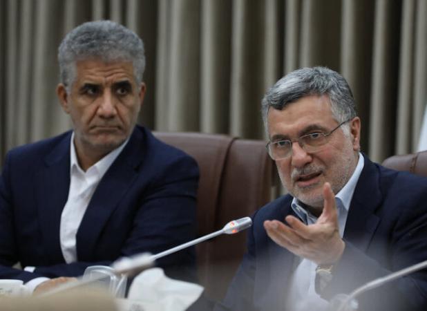 اعلام وزیر بهداشت از اجرای«طرح امید مادر» 