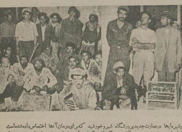 بلبل، طوطی و گوسفند را در اهواز معتاد کردند!