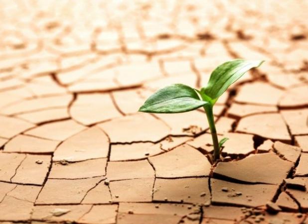 عبور از بحران خشکسالی با تغییر رویکرد سنتی