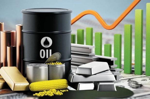 درخواست آقا محمدی به عدم دخالت در بورس کالا