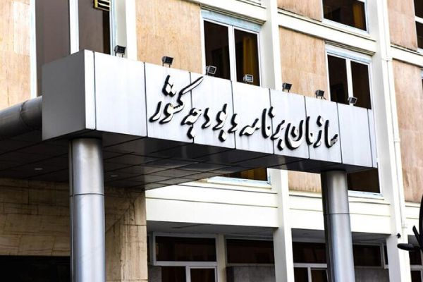 جزئیات برنامه 20 بندی دولت برای مهار تورم