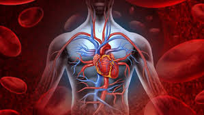 ابداع یک روش آسان و موثر در تشخیص نارسایی قلبی