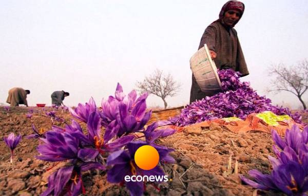  راه‌اندازی پالایشگاه گیاهان دارویی،پایان خام‌فروشی!