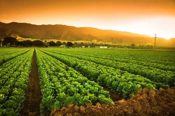 عبور ازشرایط اقلیمی با اجرای اقدامات فنی و مدیریتی