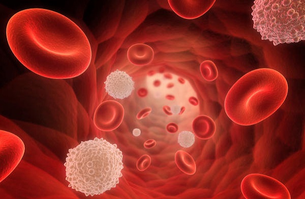 ساخت گلبول های قرمز مصنوعی با قابلیت حمل اکسیژن