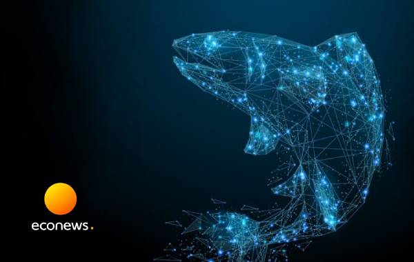 هوش مصنوعی به کمک ماهی‌های سالمون آمد