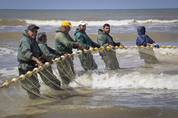 اختصاص ۴۹۰ میلیارد برای ساخت بنادر جدید ماهیگیری 