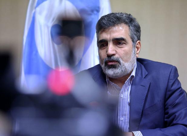 ایران کوچکترین تخطی از تعهدات آژانس نداشت