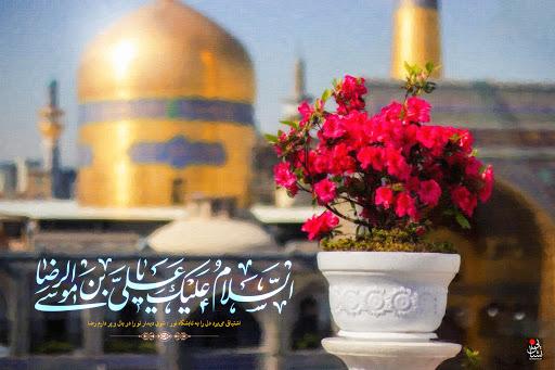 وقتی امام رضا(ع) خود به دیدار زائرش آمد!