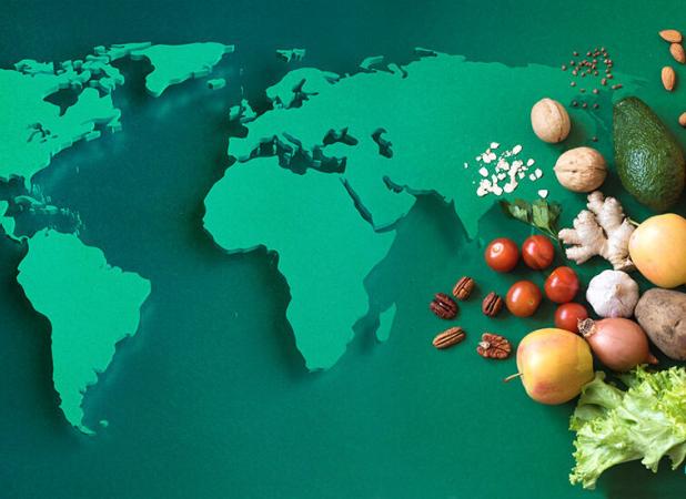 بودجه یک میلیارد دلاری اوپک برای امنیت غذایی جهان