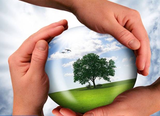 مافیای پرنفوذ مقابل تشکل‌های زیست محیطی است