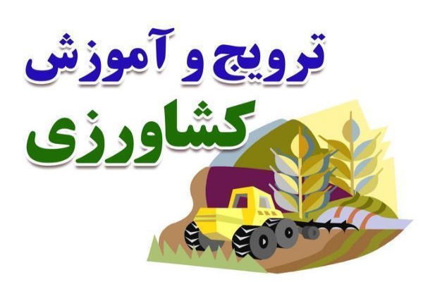 رتبه اول اصفهان در آموزش مهارت گلخانه ای در کشور