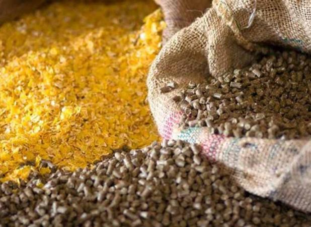 محدودیت ارز دولتی برای واردات نهاده‌های دامی