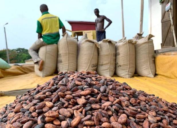 کاهش قیمت کاکائو به کمترین میزان در دو سال گذشته