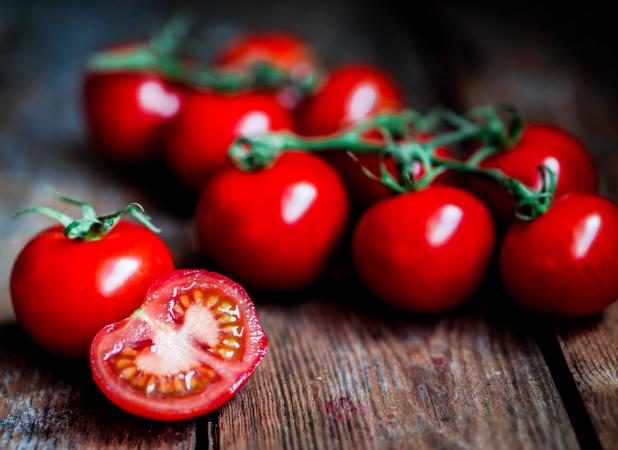 صادرات ۶٢٠ تن گوجه‌فرنگی گلخانه‌ای به خارج از کشور