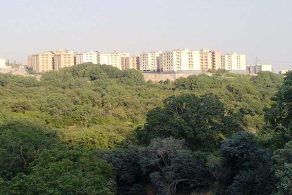 حفظ برخی از \