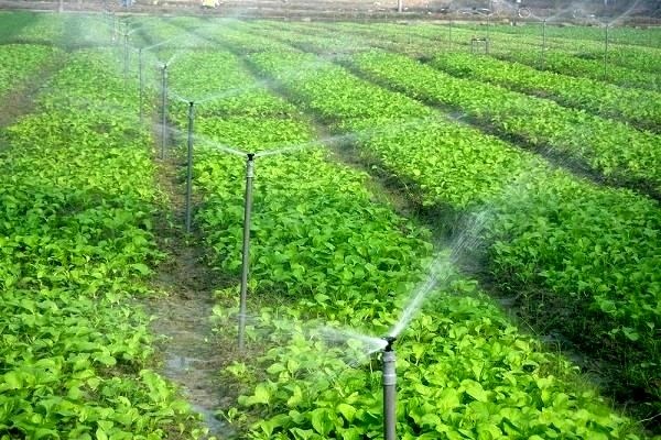تقویت اقتصاد روستا نیازمند مکانیزه کردن کشاورزی است