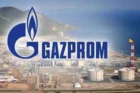 مدیر بزرگترین تولیدکننده گاز جهان به تهران آمد