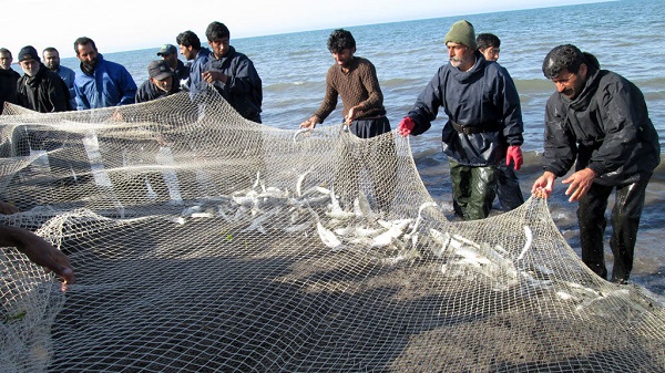 جلوگیری از صید ماهیان در فصل تخم ریزی در رودخانه‌های آستارا