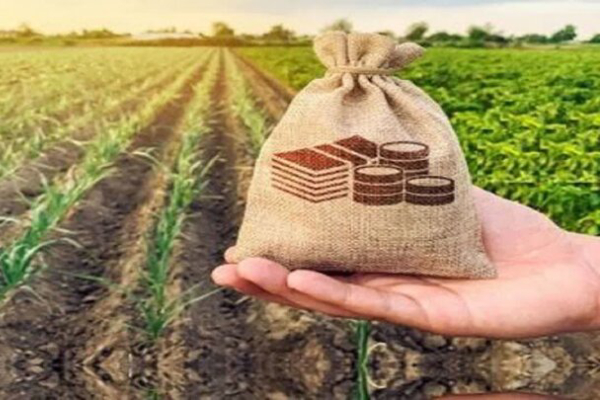 ضرورت افزایش اعتبارات صندوق بیمه کشاورزی