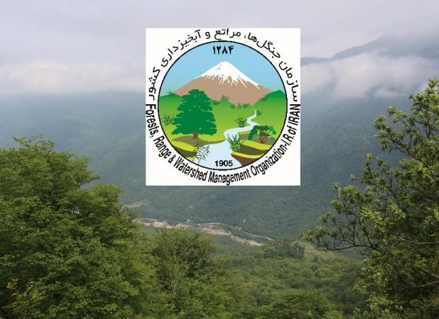 سازمان جنگل‌ها ۴۰درصد کمبود نیرو دارد