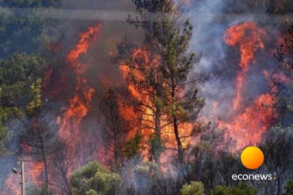 عامل انسانی در وقوع آتش‌سوزی‌ها قطعی است