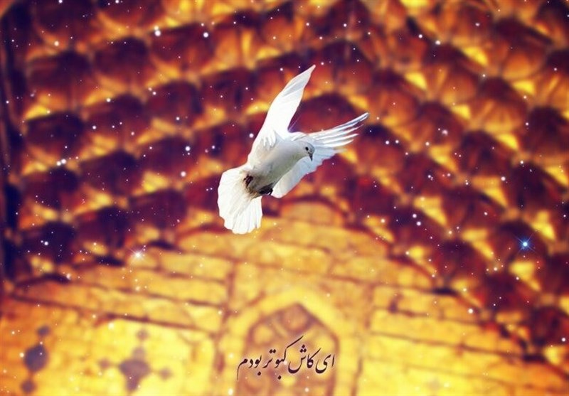 نماهنگ “پناهم باش” ویژۀ میلاد امام رضا(ع) + صوت نماهنگ “پناهم باش” ویژۀ میلاد امام رضا(ع) + صوت