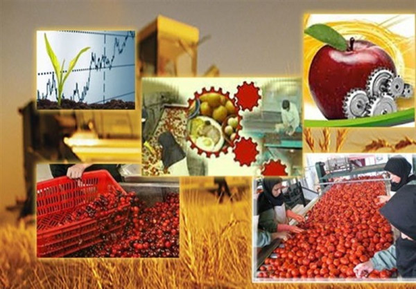 صنایع تبدیلی؛ بازوی فراموش شده توسعه کشاورزی