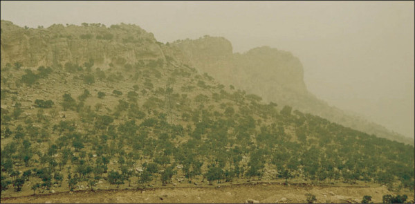 ریزگردها دیپلماسی محیط‌زیستی را فعال‌تر کرد