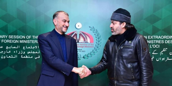 دیدار وزیر امور پارلمانی پاکستان با امیرعبداللهیان