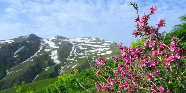 از معبد هرکول تا چشماندازهای زیبای چهل چشمه