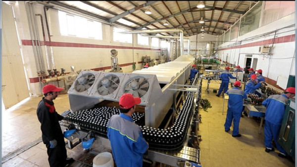 بهره وری منابع انسانی کلید حل موانع تولید است